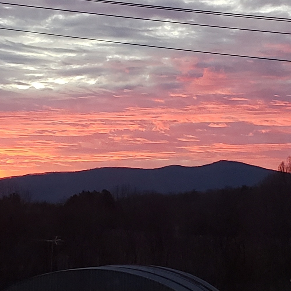 Meet your Posher, Tessa